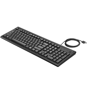 Keyboard Hp 100
